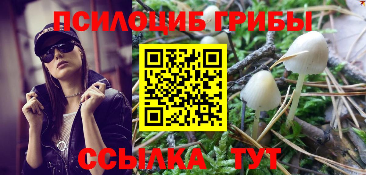 Псилоцибиновые грибы мицелий  Вход с VPN  Галлюциногенные грибы Psilocybe  Павловский Посад 