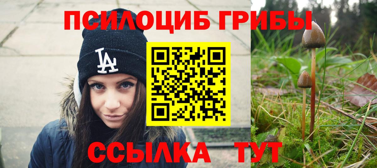 Галлюциногенные грибы Magic Shrooms Павловский Посад
